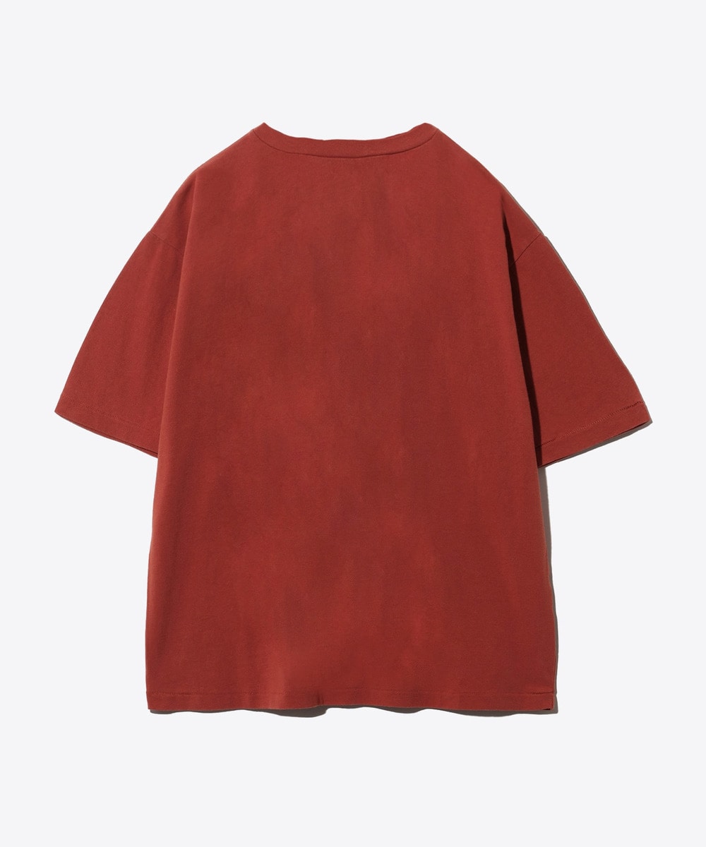 ARTEX × LOONYTUNES SYLVESTER ルーニーテューンズ Tシャツ 詳細画像 RED 2